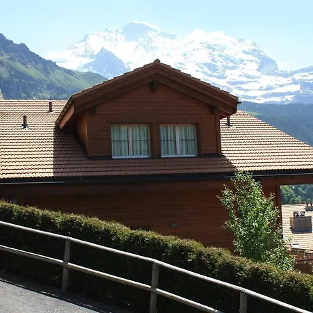 Chalet Protea *