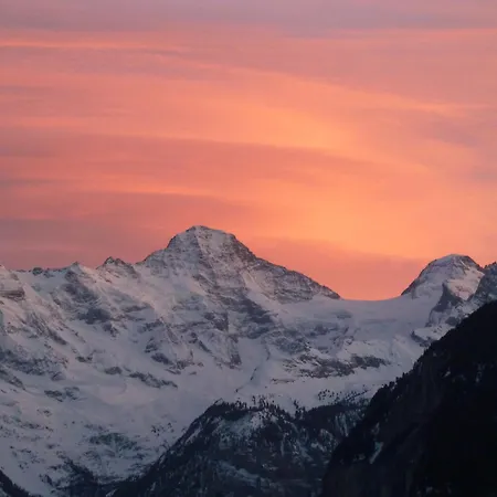 Chalet Protea Wengen