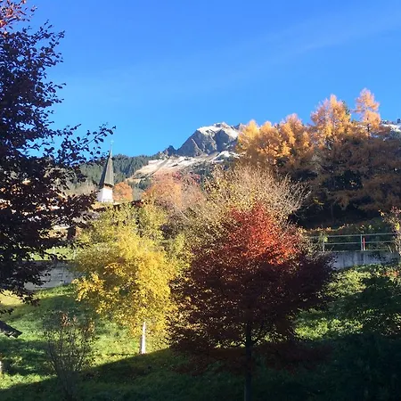 Protea * Wengen