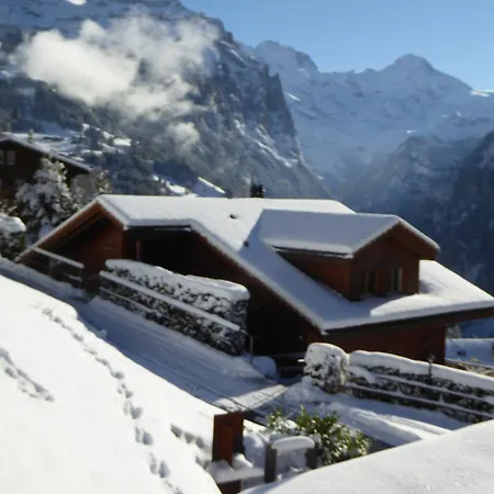 Chalet Protea *