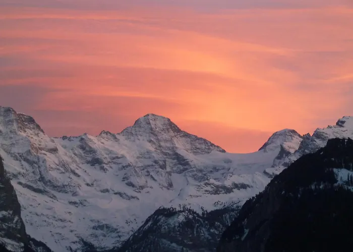 Chalet Protea Wengen