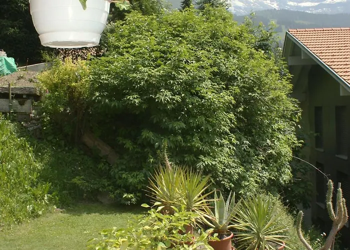 Chalet Protea Wengen