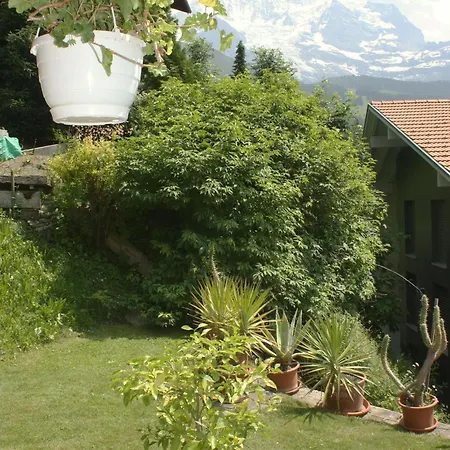 Chalé Protea Wengen