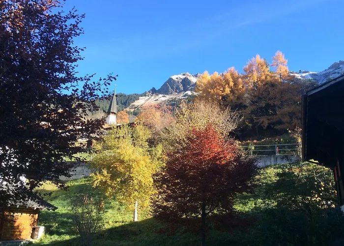 Protea * Wengen